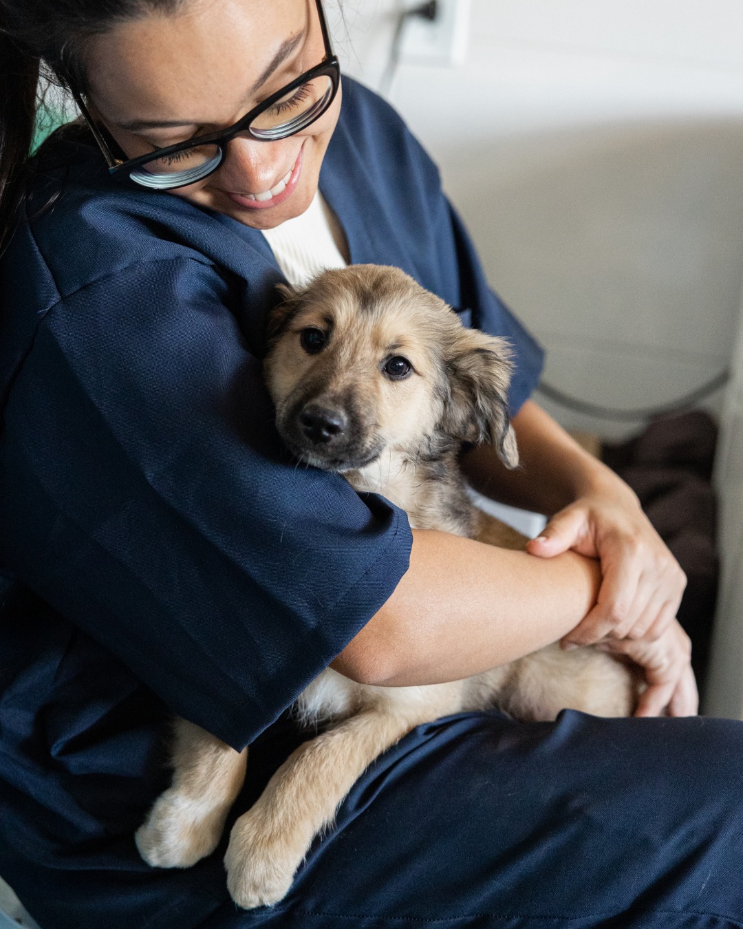 Create Veterinary Compounding | Calgary AB