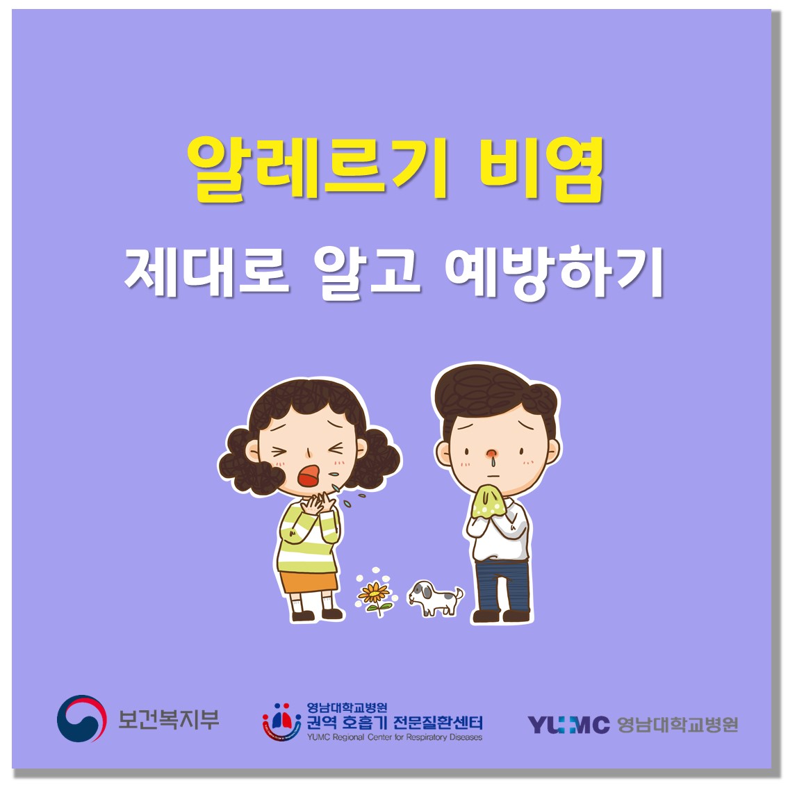 알레르기 비염은 비감염성 비염 중 가장 흔한 질환으로... - 영남대학교병원 권역 호흡기 전문질환센터