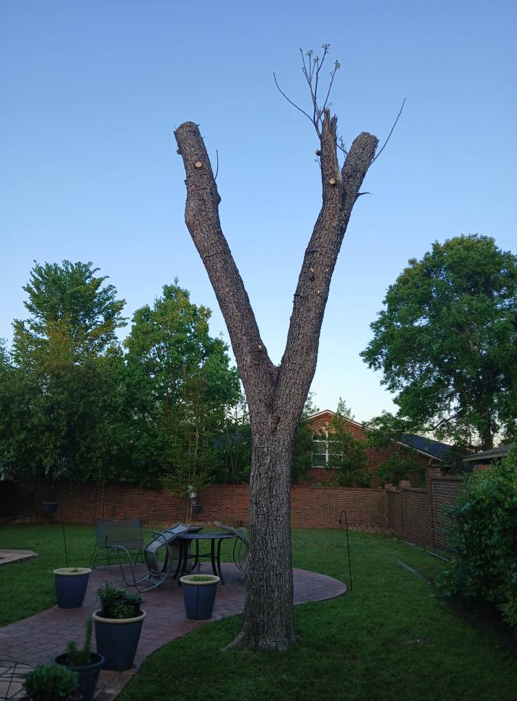 ER Tree Service | Tyler TX
