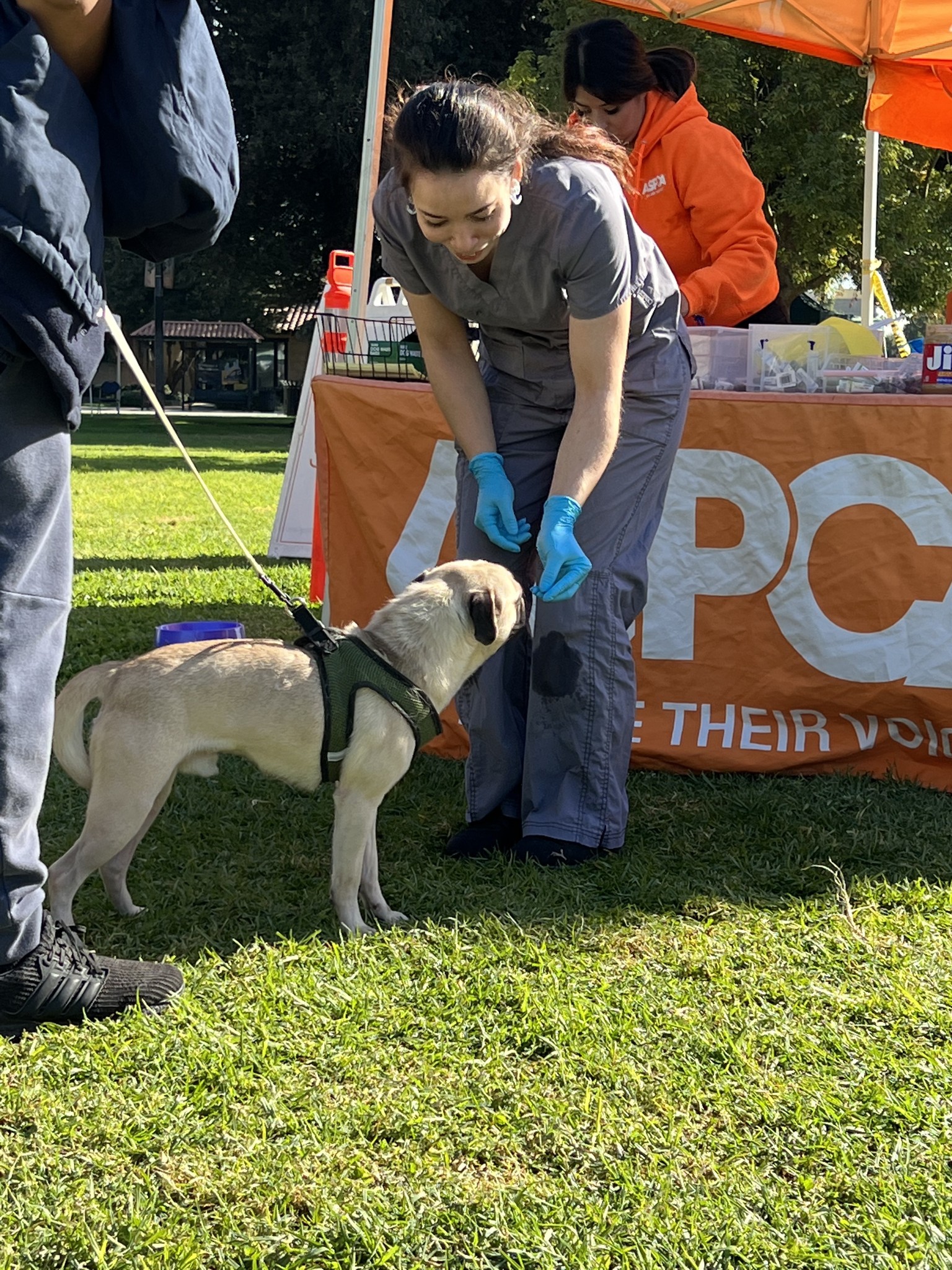 ASPCA - The ASPCA is in El Monte helping pets in need! 🐱 🐶...