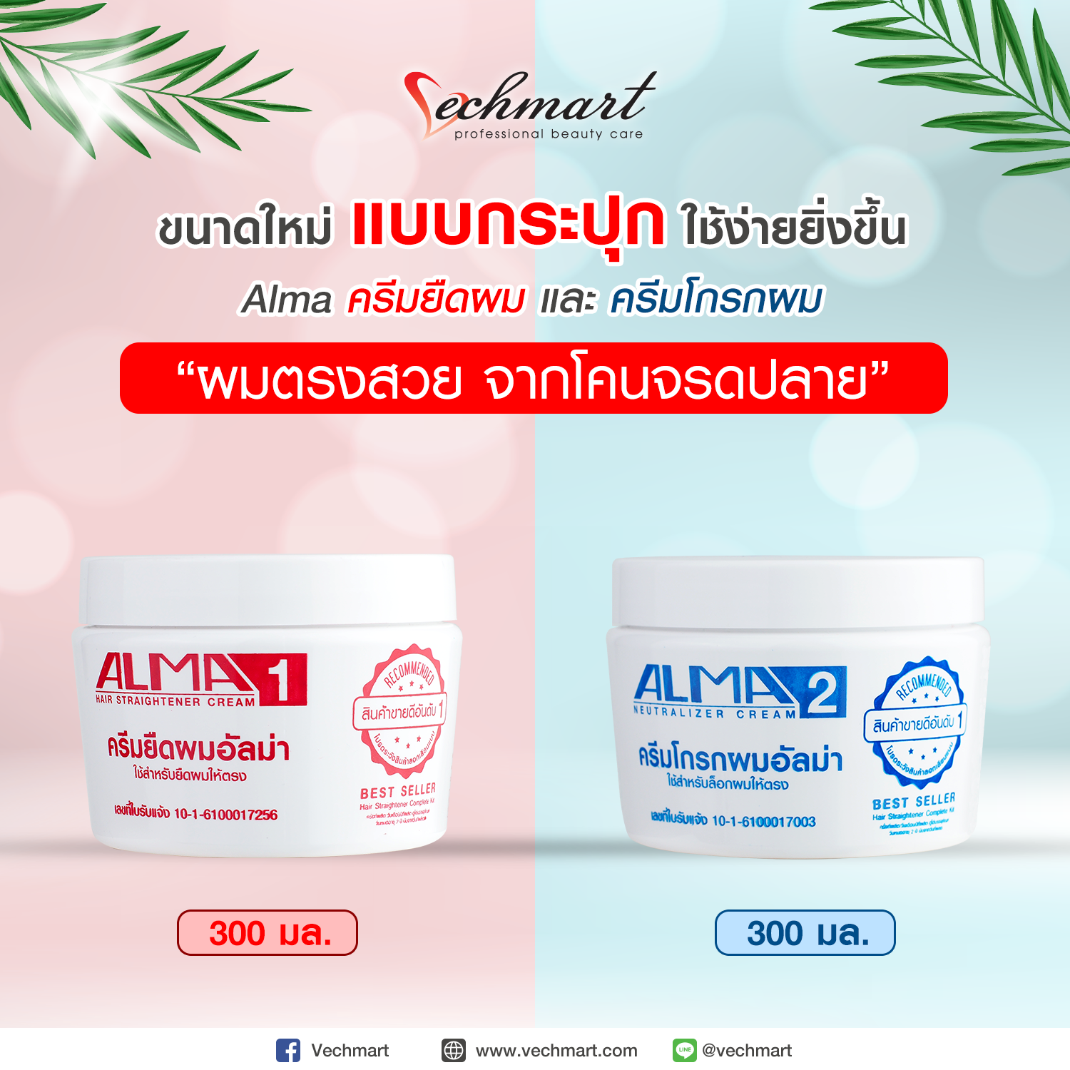 Vechmart - ขนาดใหม่ 