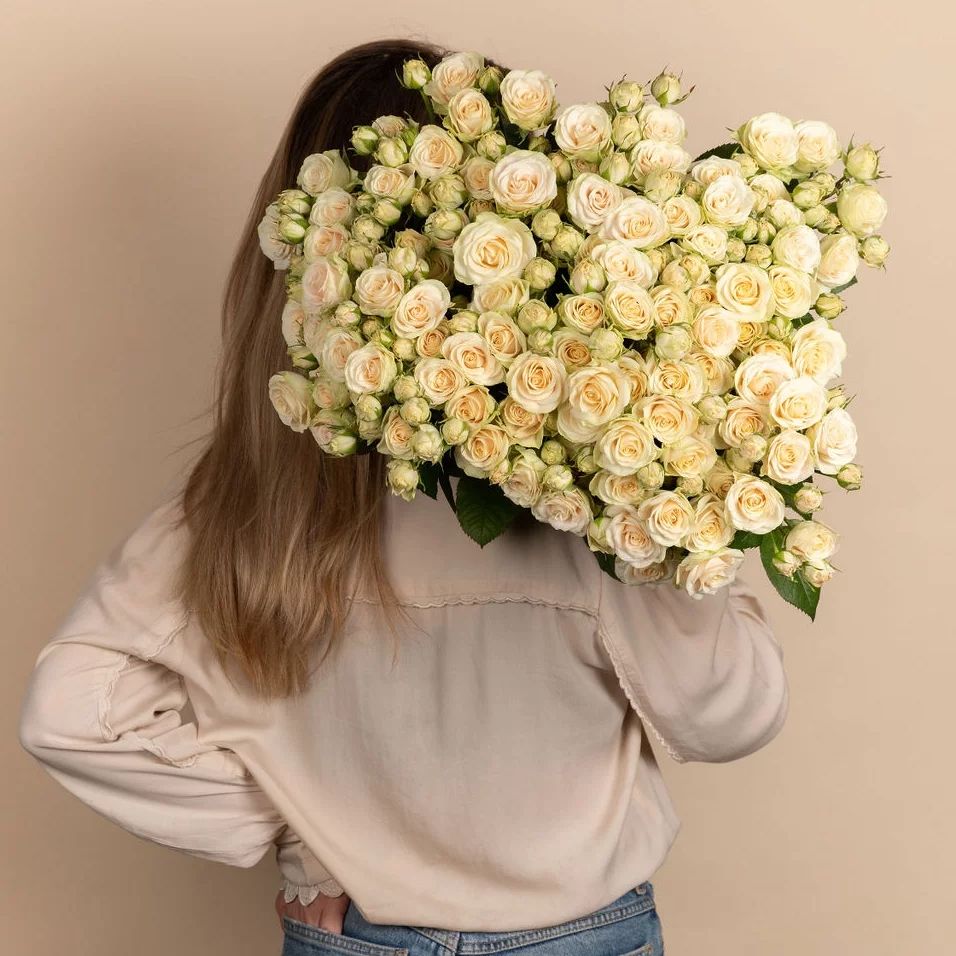 Fransen Roses | De Lier
