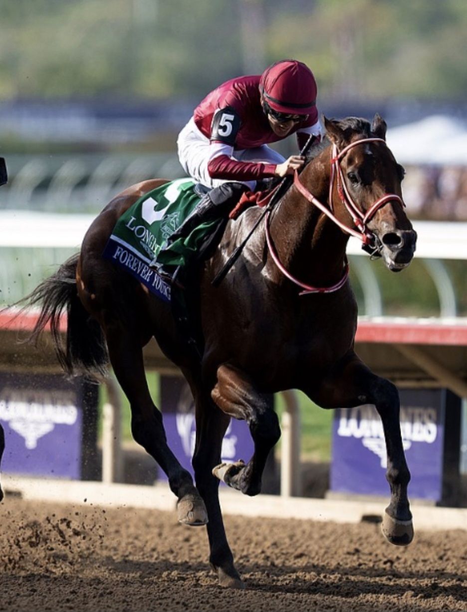 FOREVER YOUNG makes history! 🙌 He wins the Breeders' Cup Classic