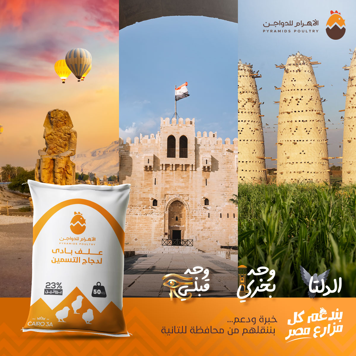 الاهرام للدواجن - Pyramids Poultry | Giza