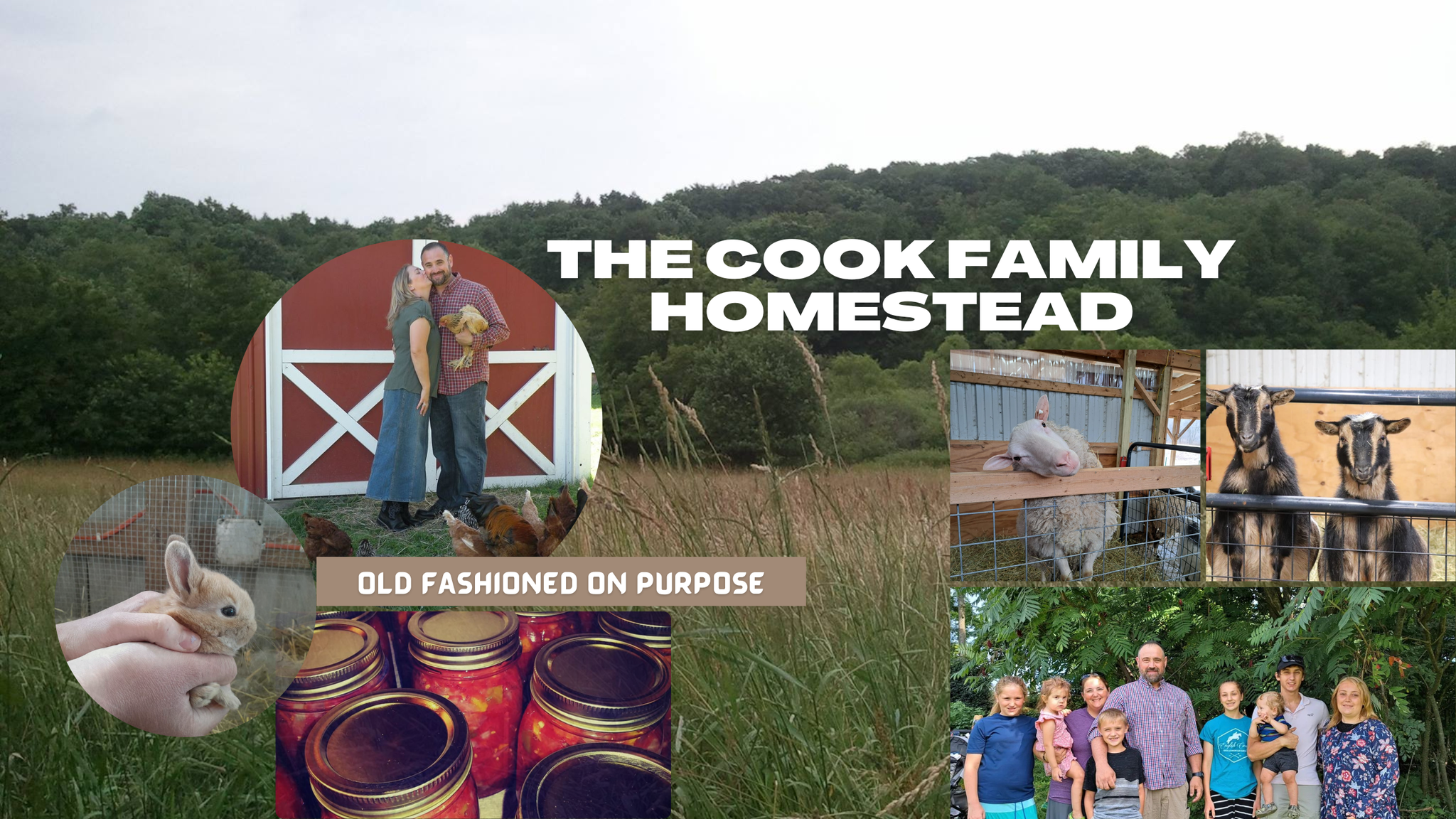 The Cook Family Homestead