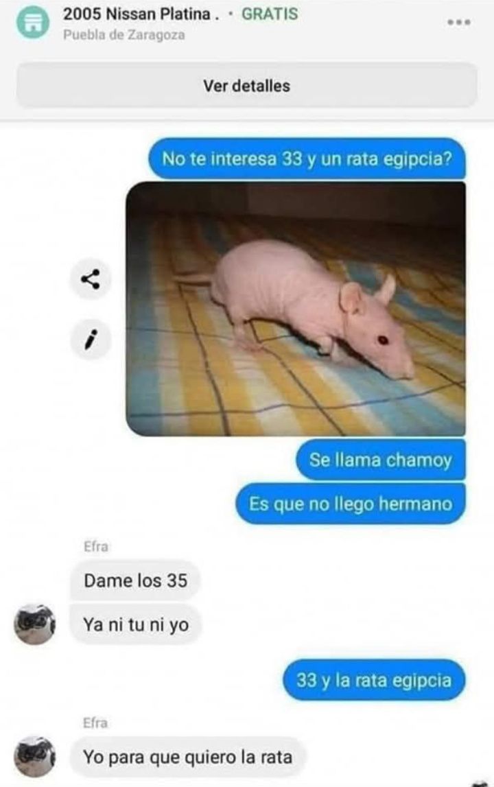 Elmo - 33 y la rata egipcia | Facebook