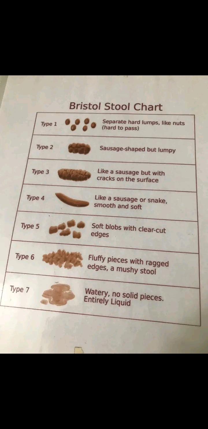Doctor's Orders - The Bristol Stool Chart/ The Bristol...