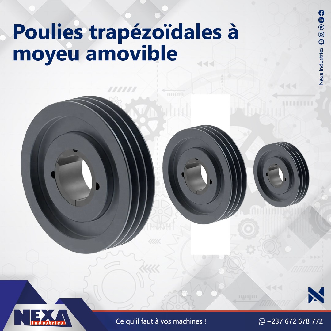 Nexa - QU’EST-CE QU’UNE POULIE ? La poulie est un élément de ...