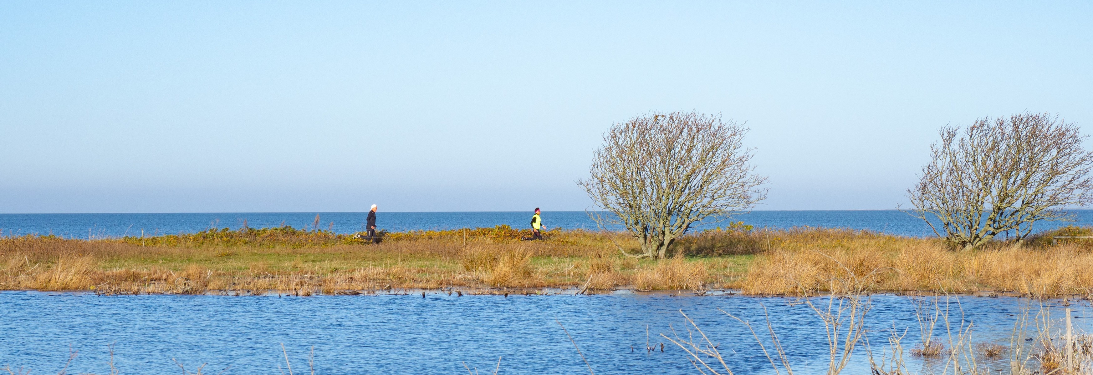 Motionsløb på Læsø | Vesterø Havn