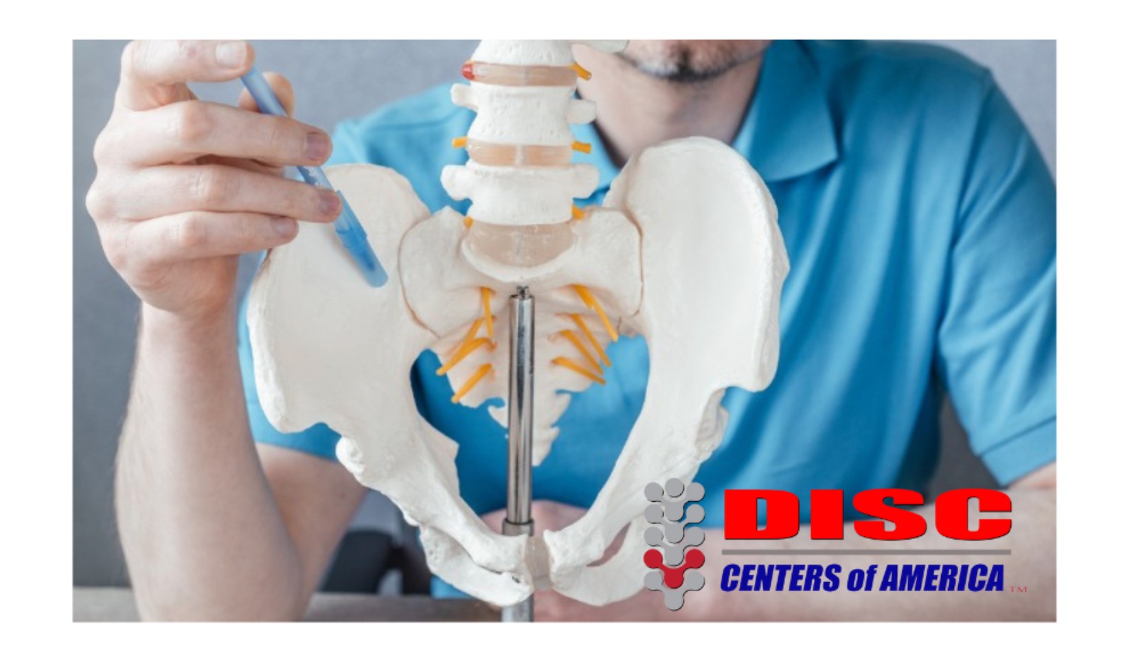 Disc - Low Back Pain and the Sacroiliac Joint The sacroiliac joints ...