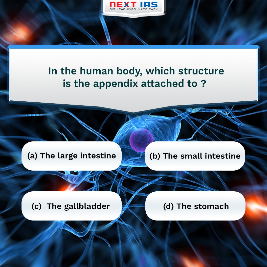 NEXT IAS - In the human body, which structure is the...
