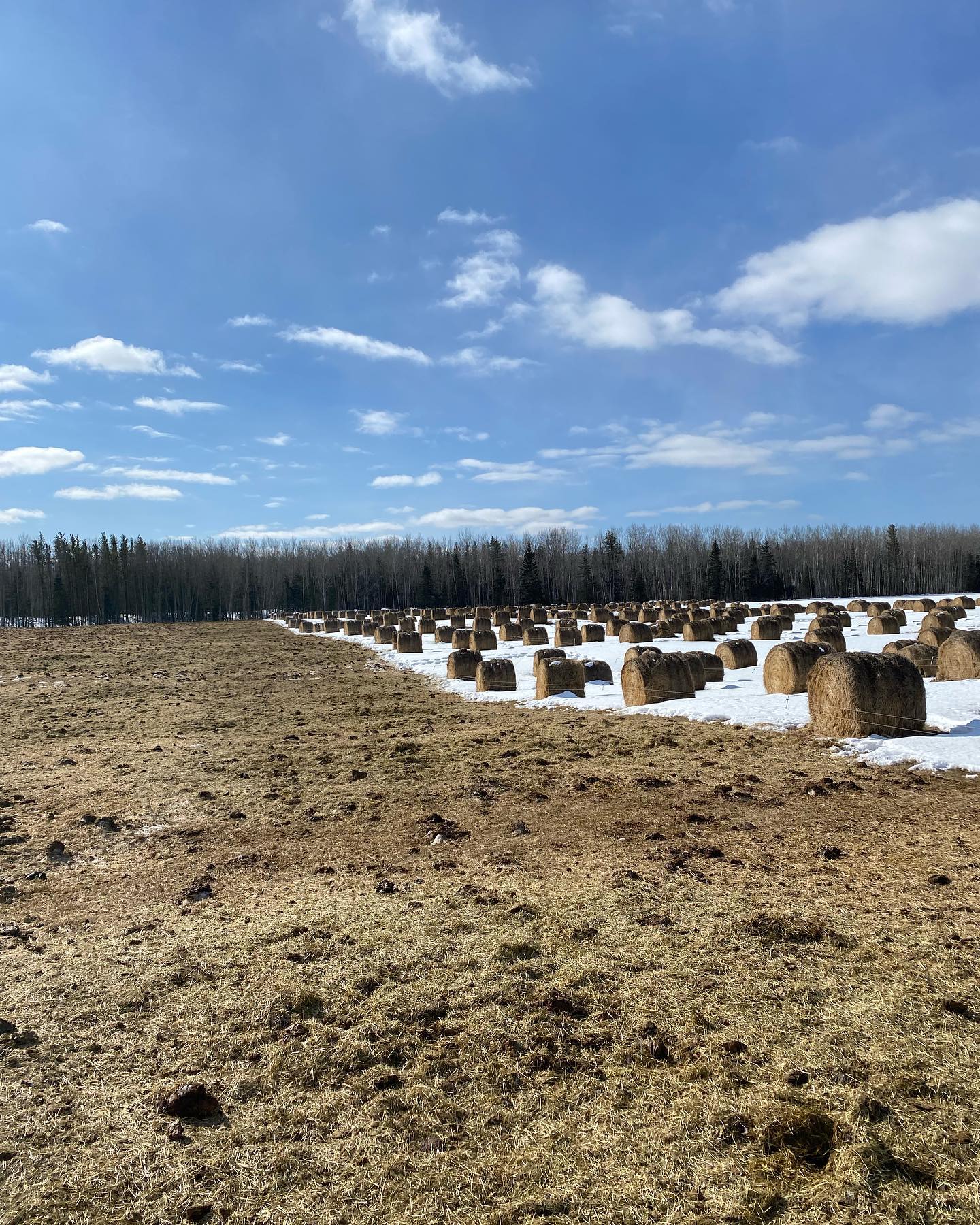 Griffith Ranch - BIG things happening at Griffith Ranch... | Facebook