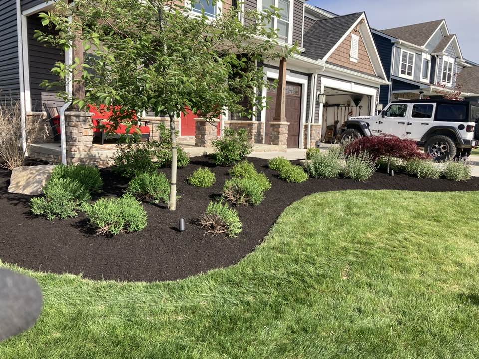 Sunrise Lawn Services, LLC. | Brunswick OH
