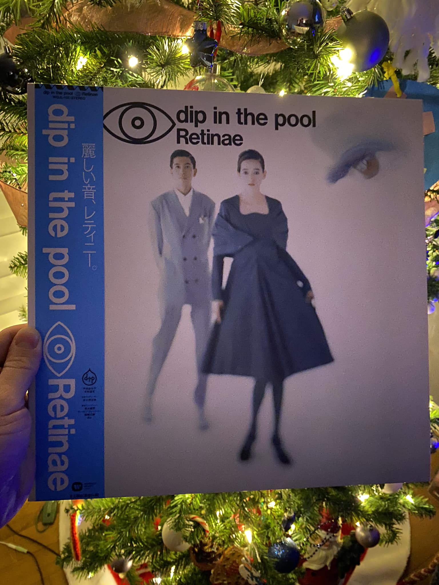 A Dip in the Pool