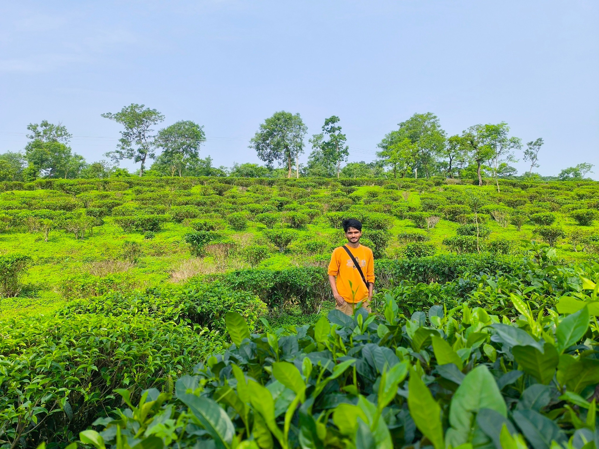 Md Roman Mia | Rangpur
