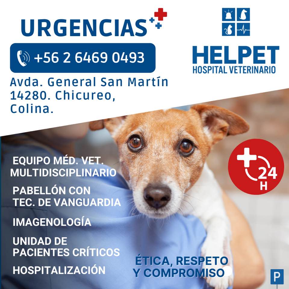 Helpet - 👨🏻‍⚕️Somos un equipo multidisciplinario que se esmera en dar ...