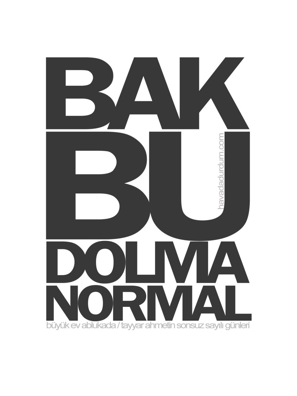 buyuk ev ablukada home facebook