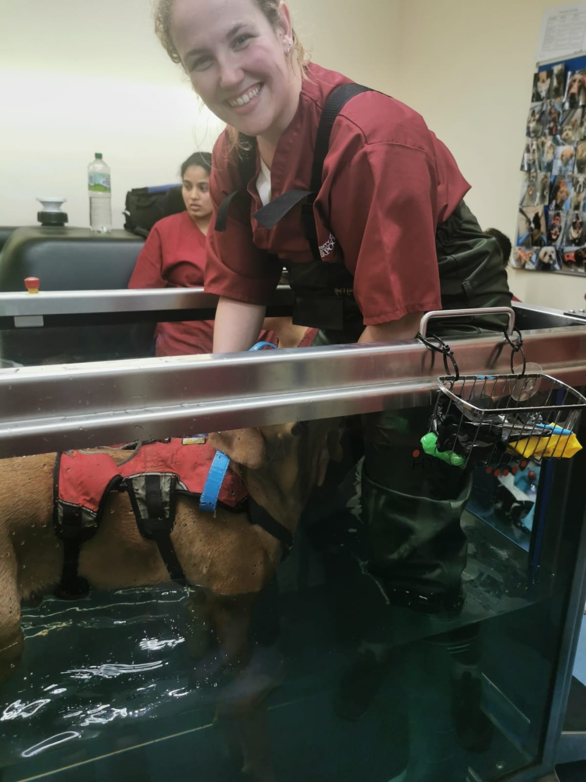 University - Fleur enjoying treating her dog Forrest at his hydro ...