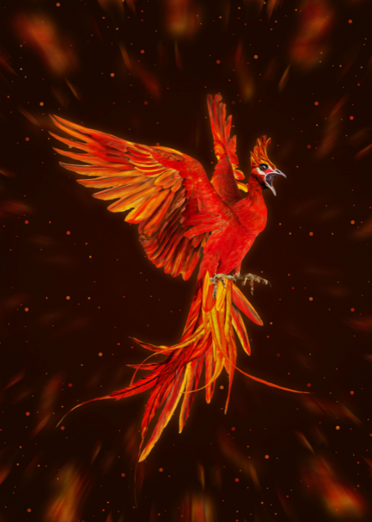 Displate - Rising like a phoenix from the ashes this #PassionTuesday.🔥 ...
