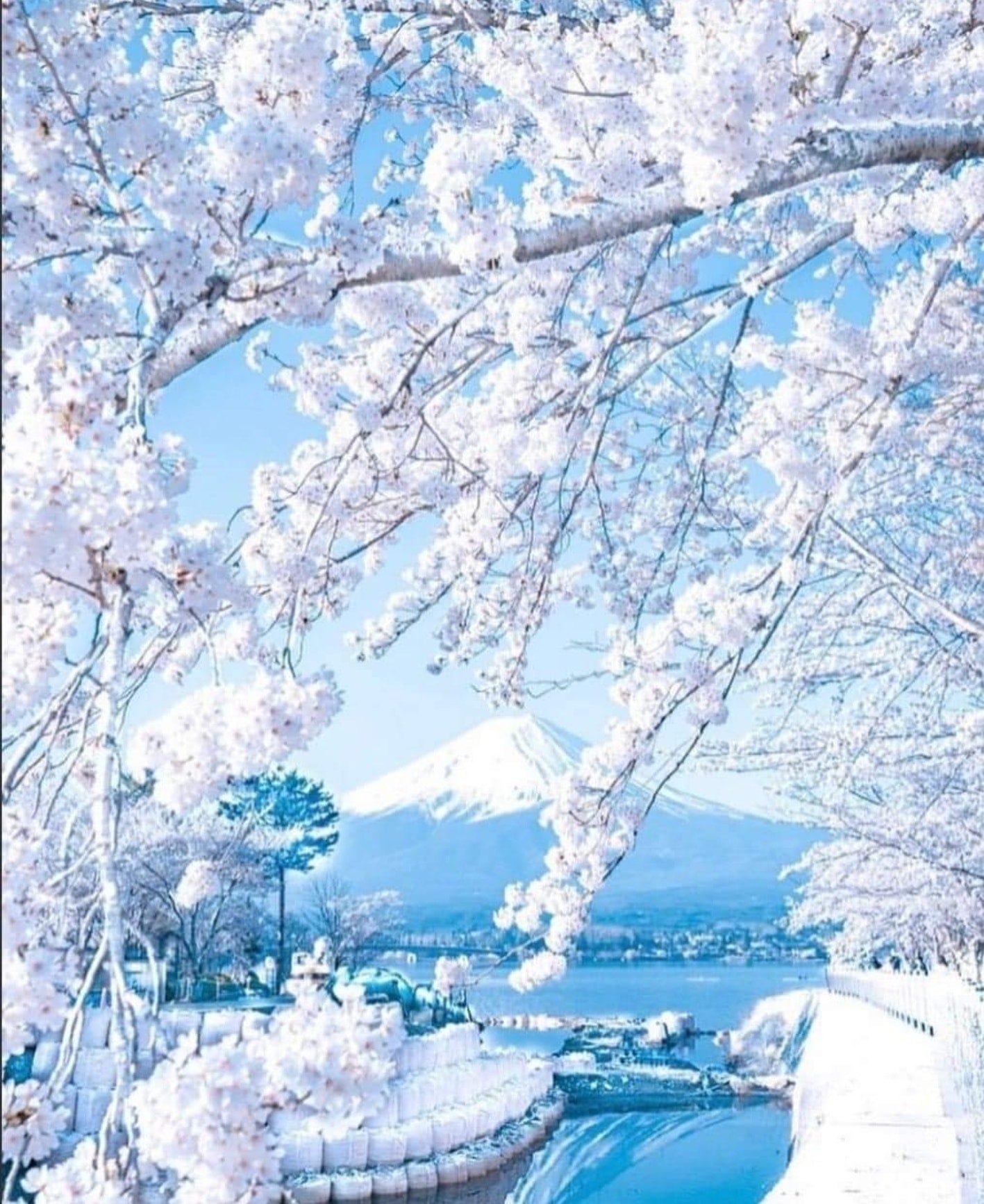 日本雪景