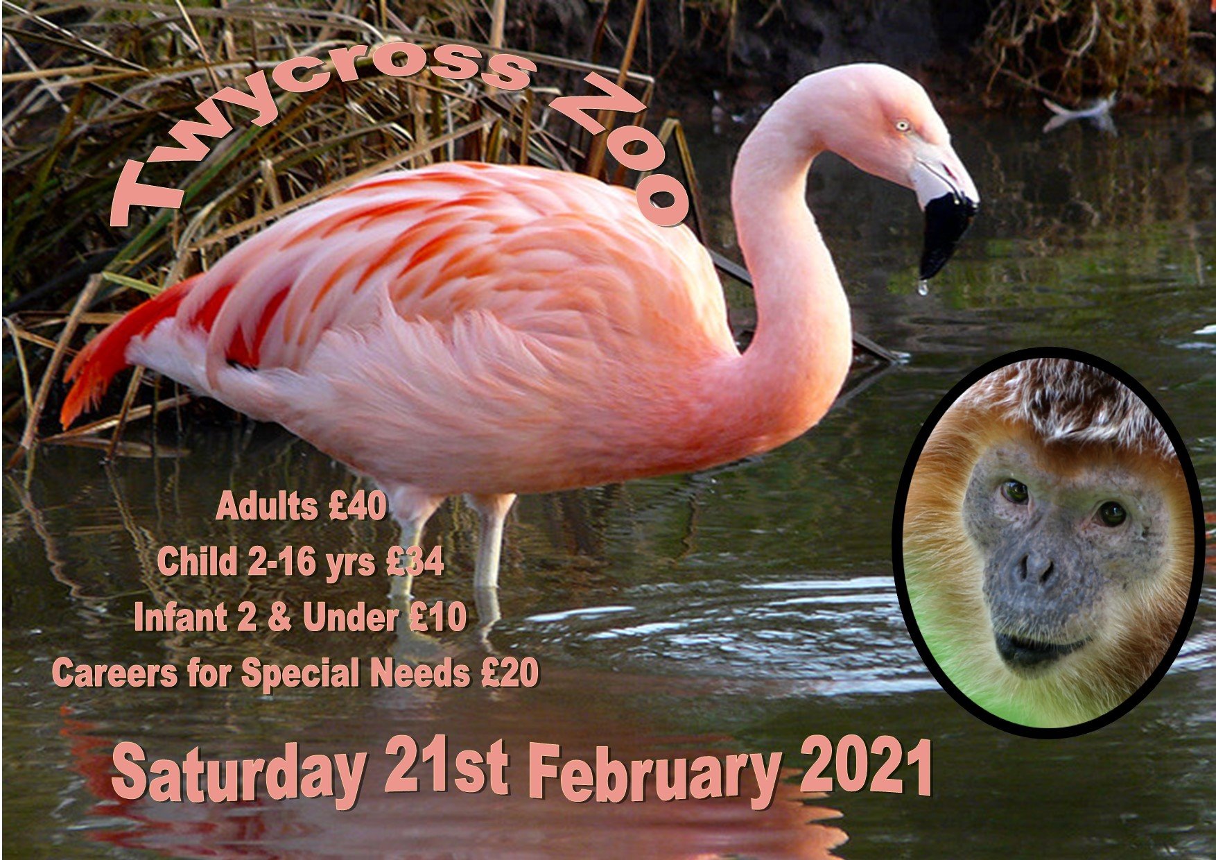 Twycross Zoo