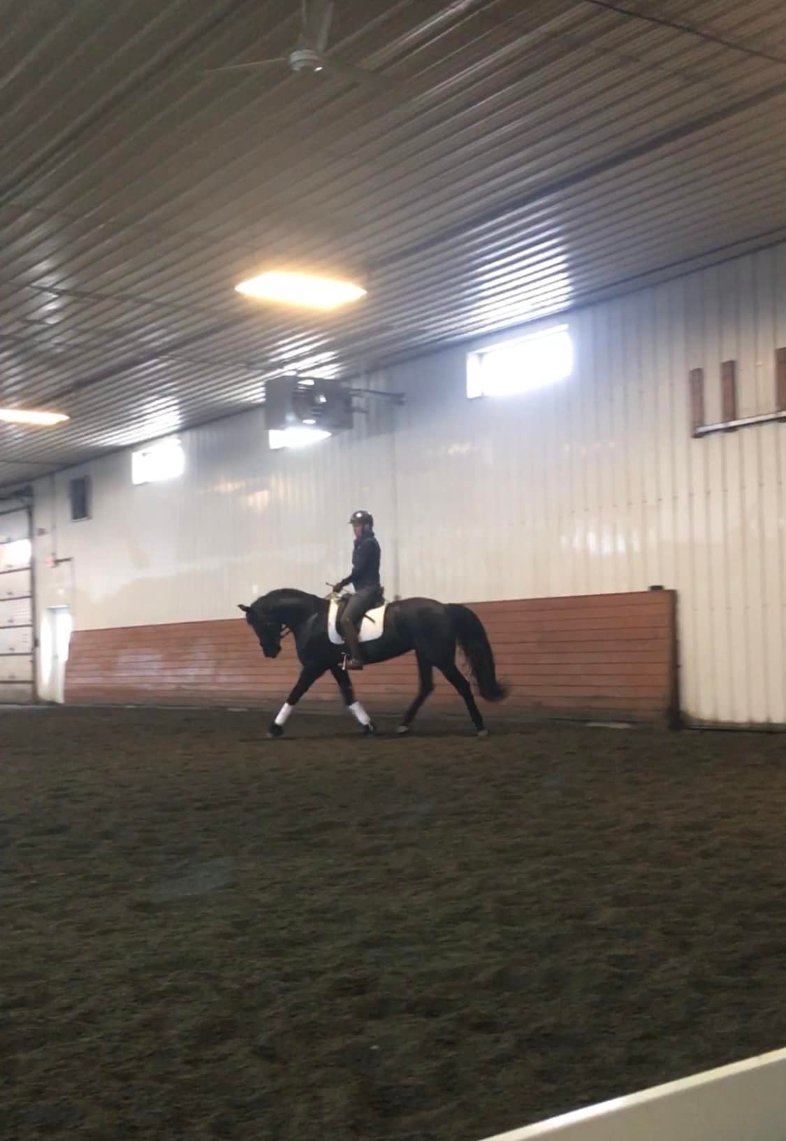 Becky Rutkowski Dressage