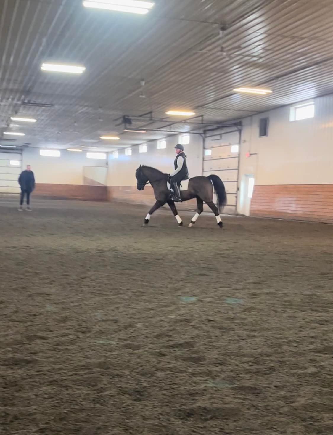 Becky Rutkowski Dressage