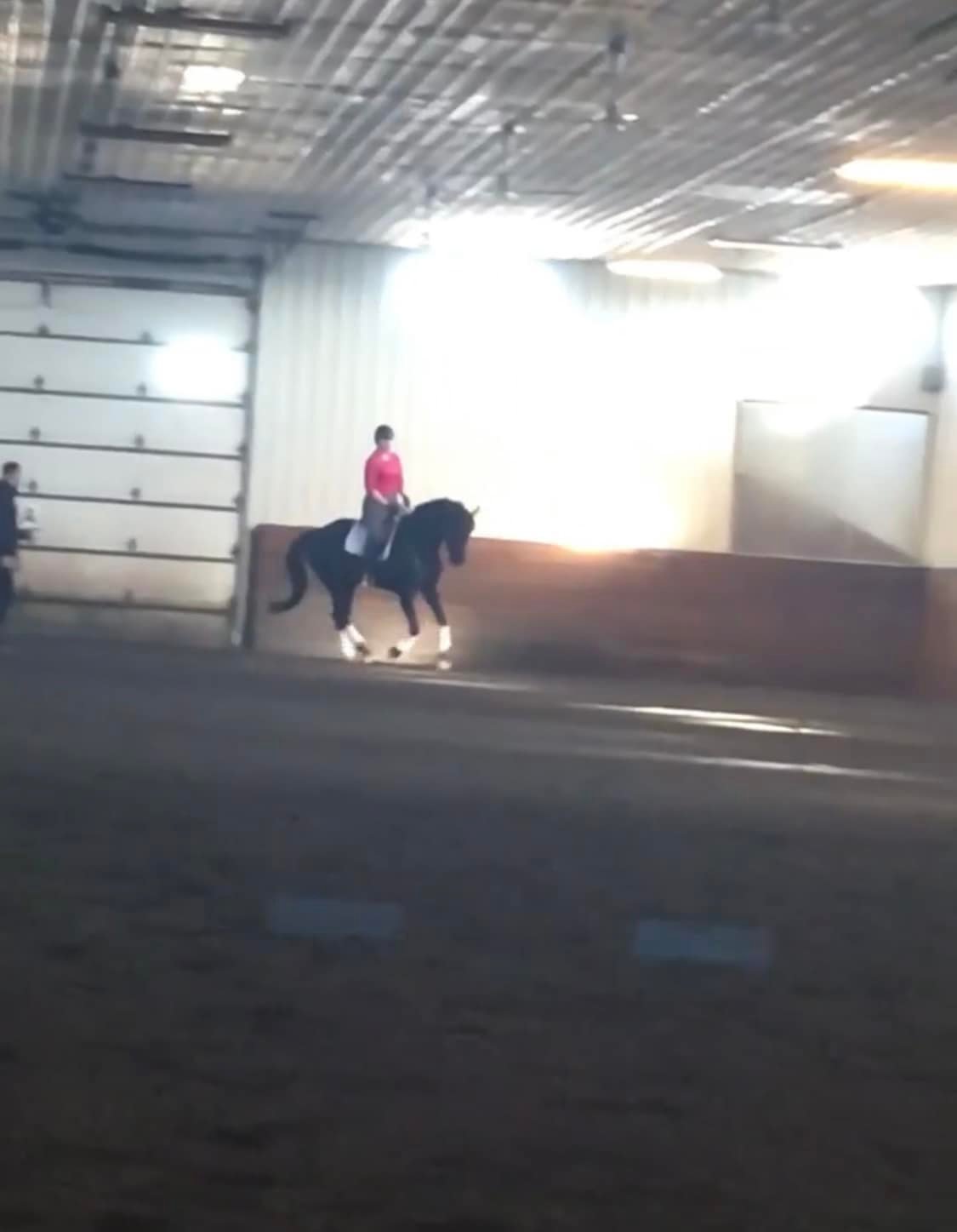 Becky Rutkowski Dressage