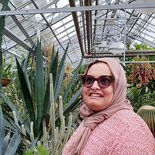 Reem Ismail