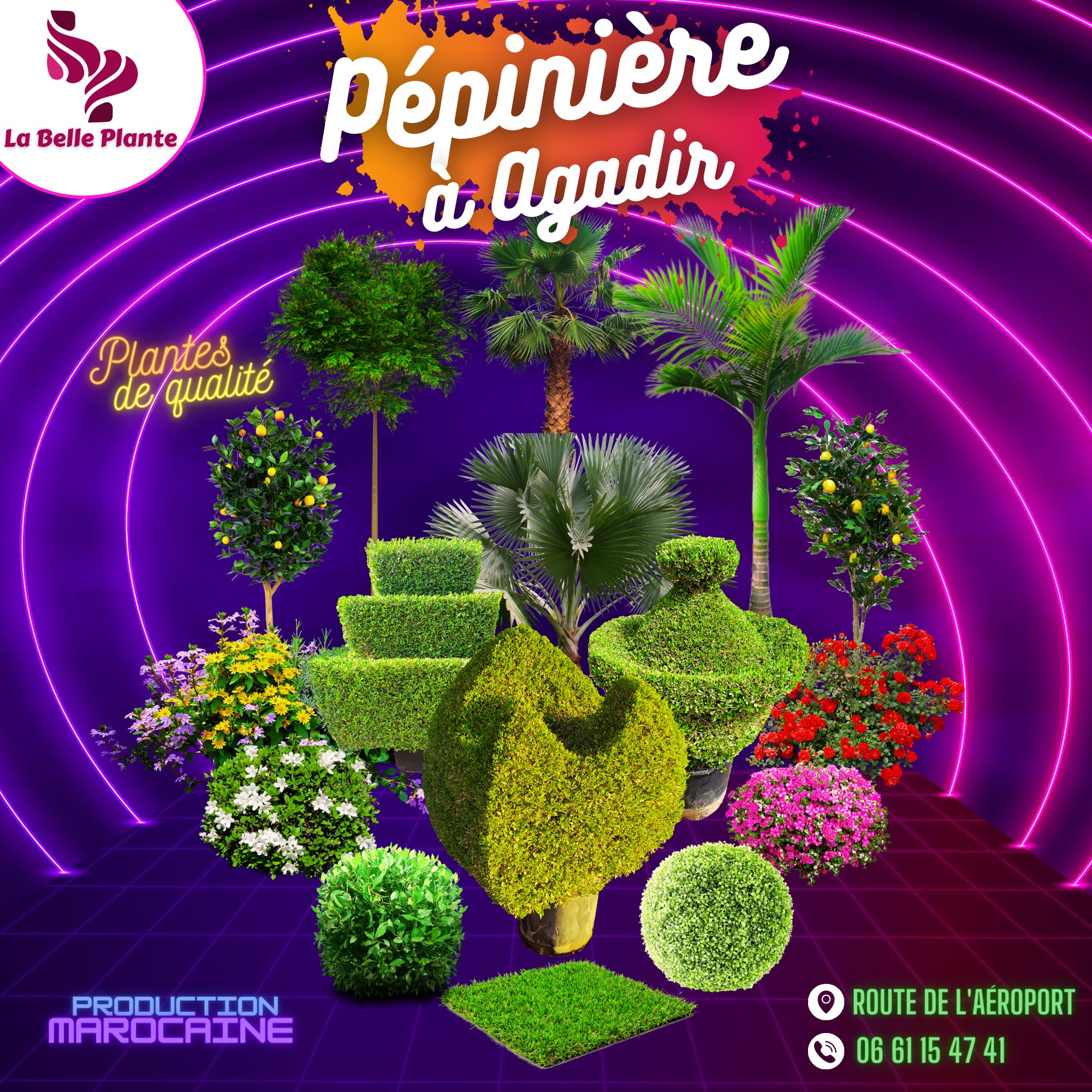p-pini-re-conif-re-vert-ou-dor-le-thuya-est-aussi-parfait-pour