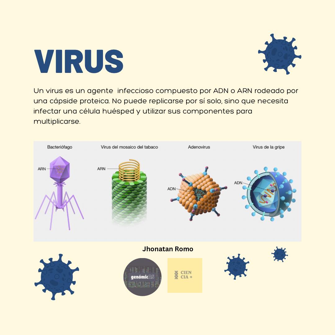 Ciencia+ - Un virus es un agente infeccioso que consta de un segmento ...