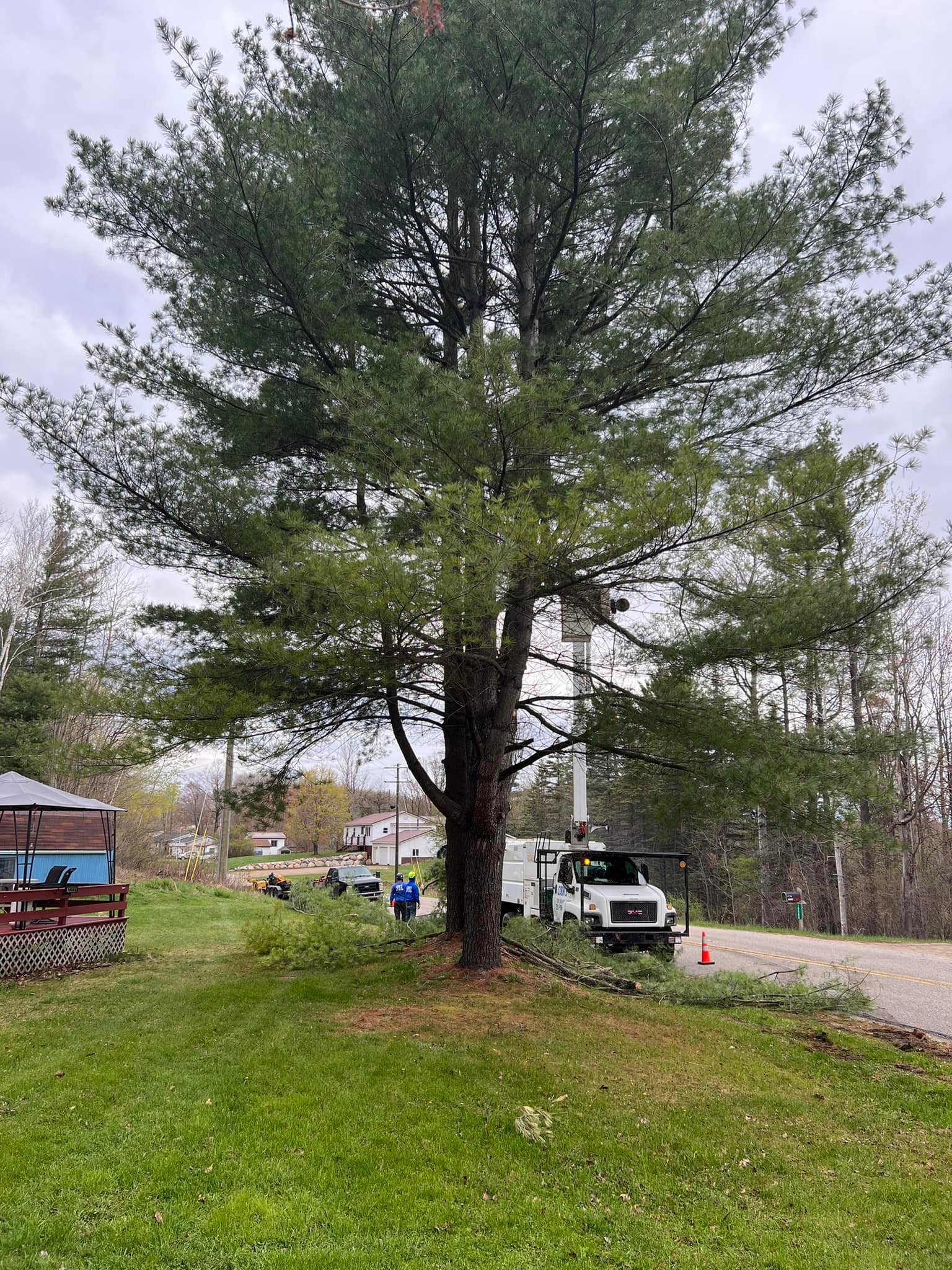 Cook's Tree Service LLC | Mecosta MI