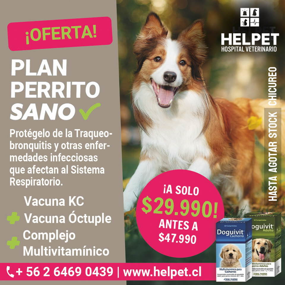 OFERTA: 🍁 ️🛡🐕‍🦺 🛡Protege a... - Helpet Hospital Veterinario