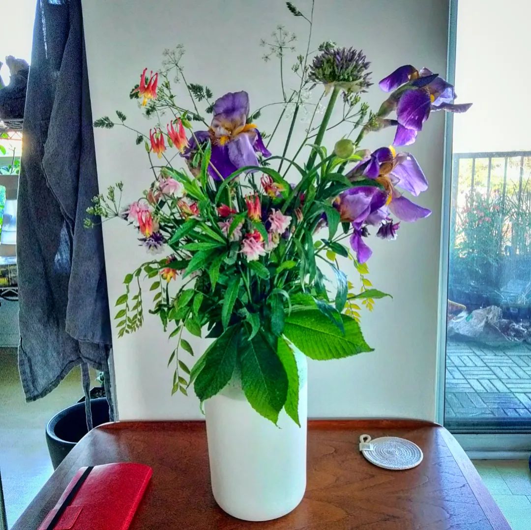Botanically Speaking
