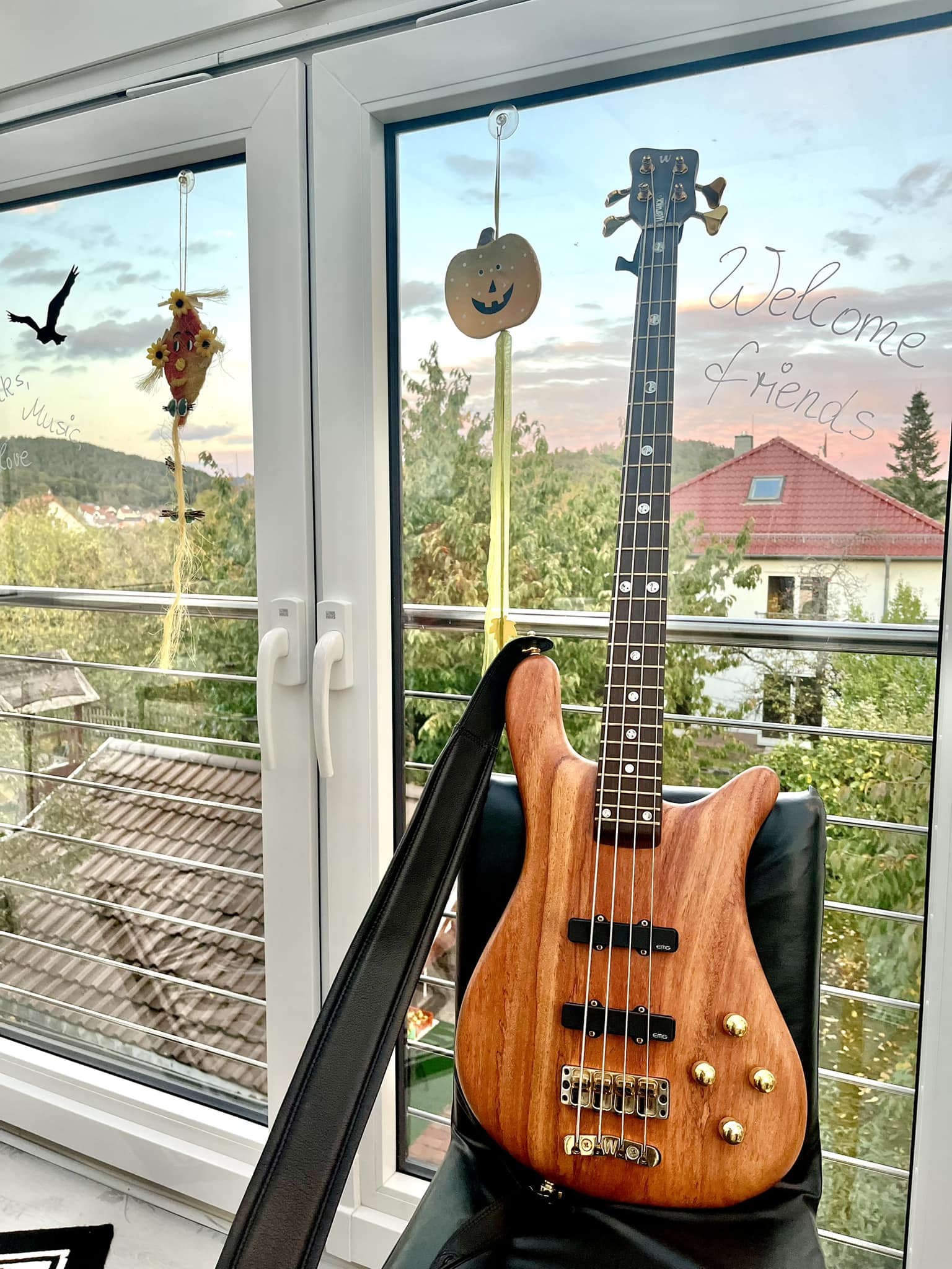 1996 Streamer Bolt 🤎🤎🤎 . #streamer #warwickbass #warwick