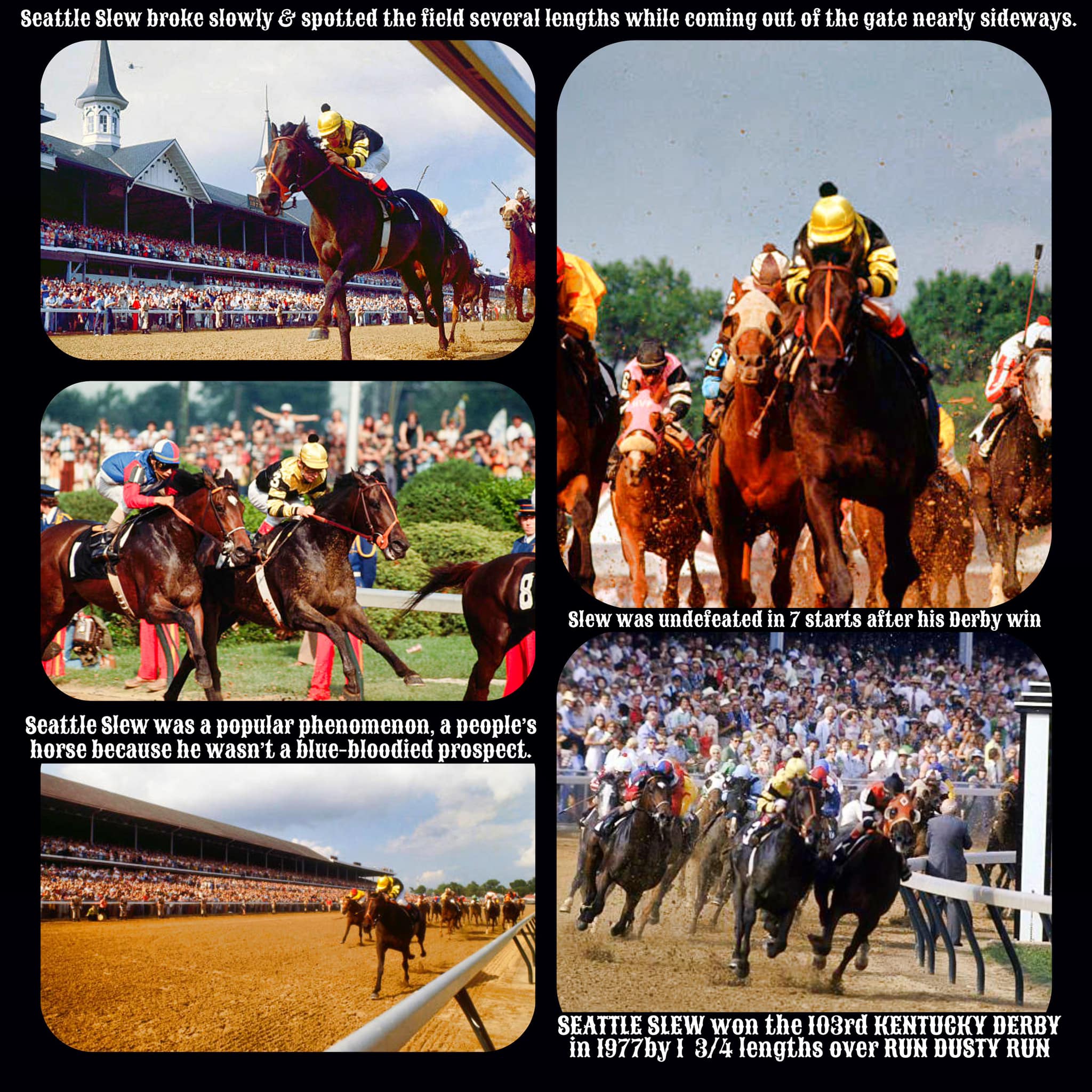 A LOOK BACK AT SEATTLE... - American Thoroughbred Legends | Facebook