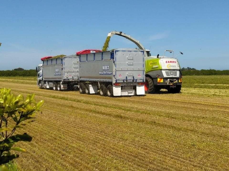 Matapu Bulk Transport &... - Matapu Bulk Transport & Welders