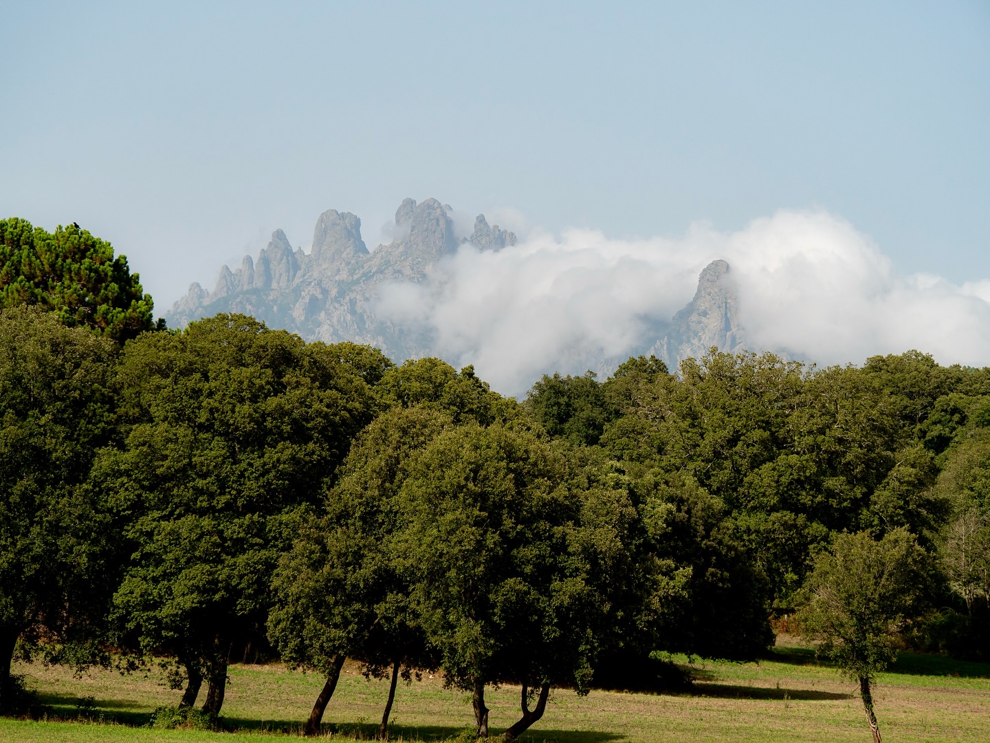 Village Del Mar - Solaro | Solaro