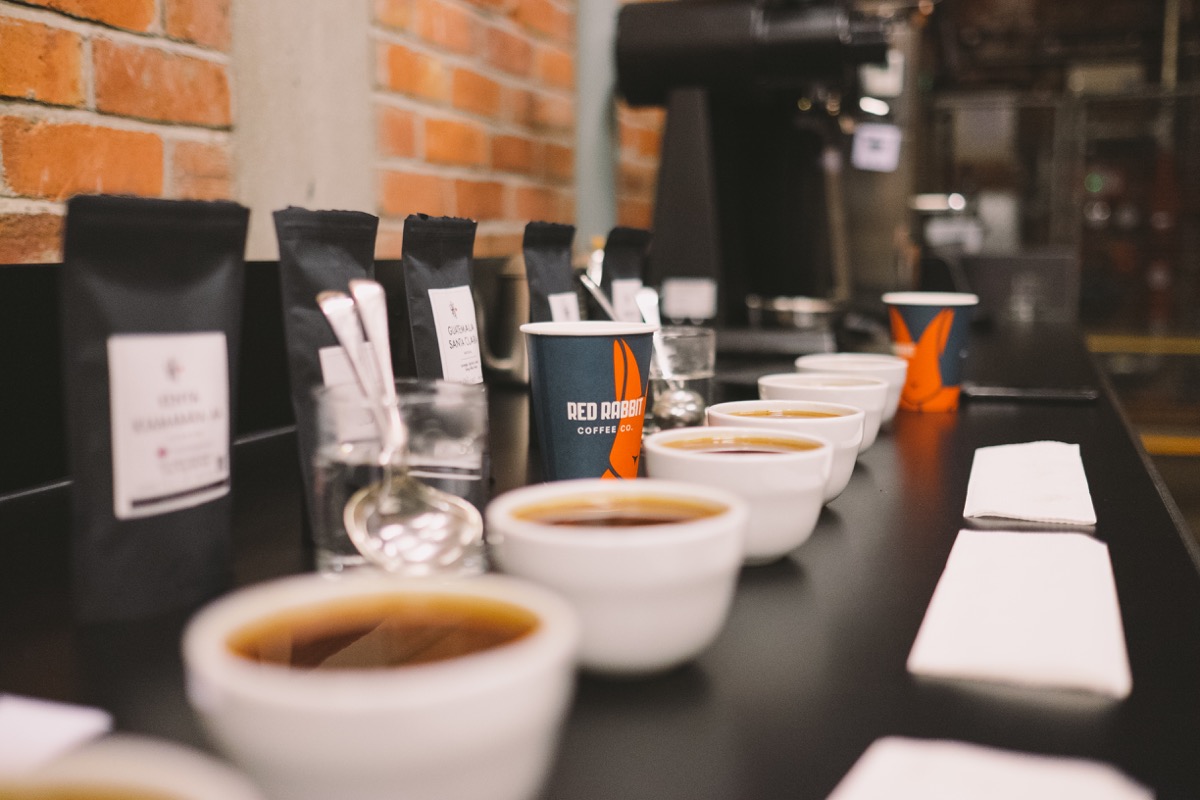 Red Rabbit Coffee Co. | Auckland