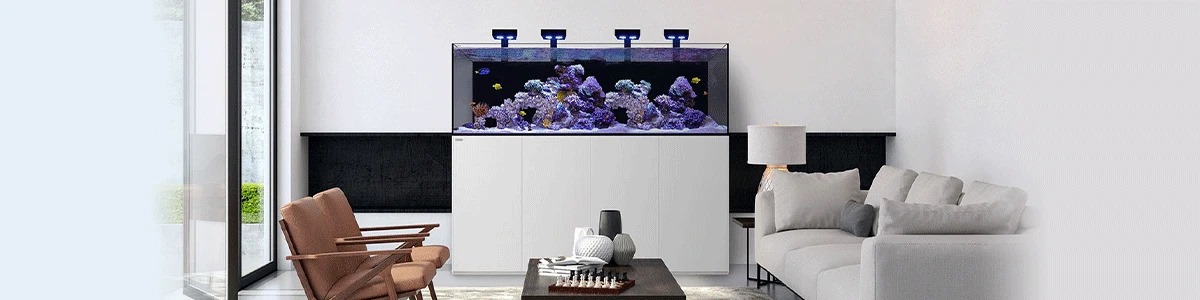 Gil's Fish Room - Hard to believe that the 