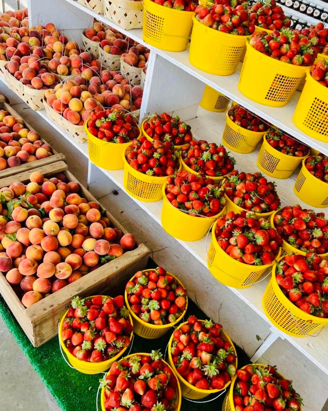 Peaches, blackberries, and strawberries are in good supply today