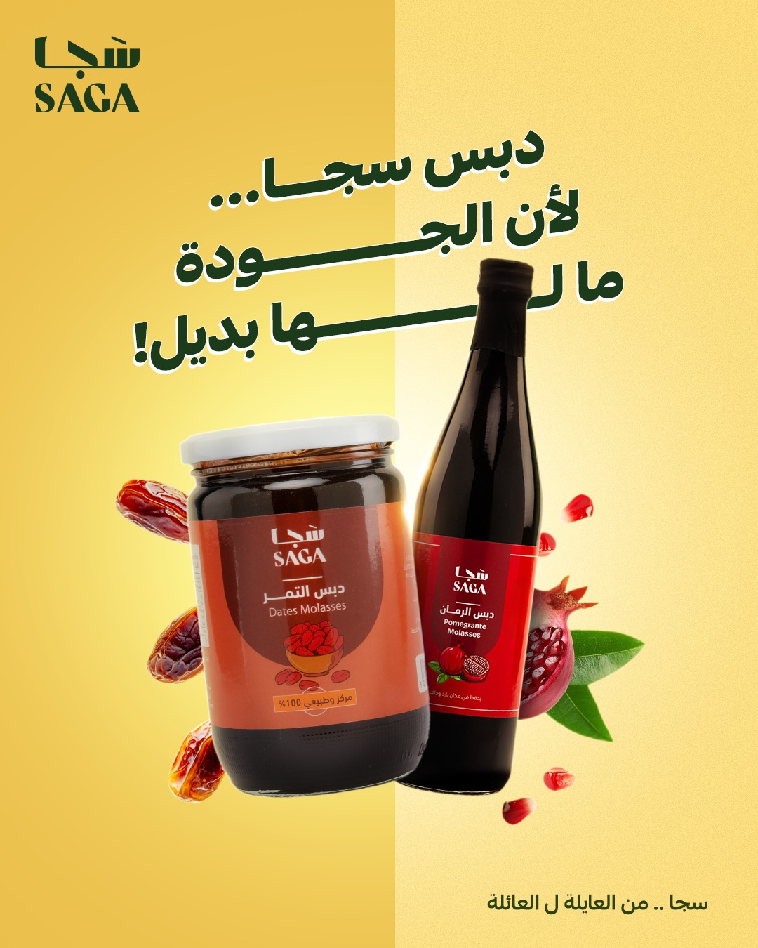SAGA سجا