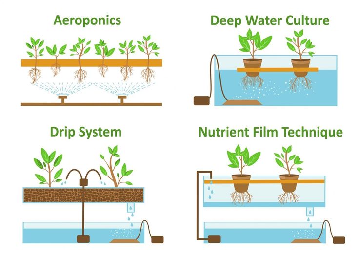 New - This diagram illustrates four common hydroponic growing methods ...