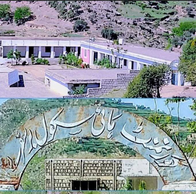 Tolo ta deer deer Mubarak khasosi zama mashar ror ta chi da hagha zwi ...