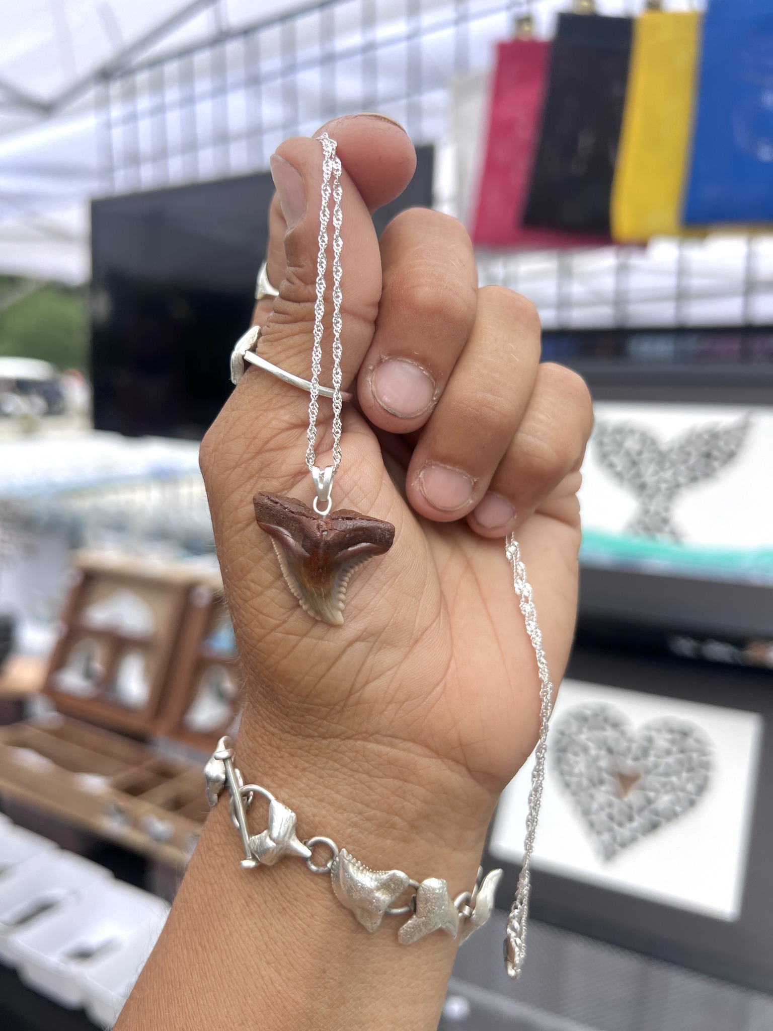 Men's Women's Custom Made Oxidized 925 Sterling Silver or Gold Finish Great White Shark Pendant 2mm Box Chain Necklace 18-30, Mako, Jaws