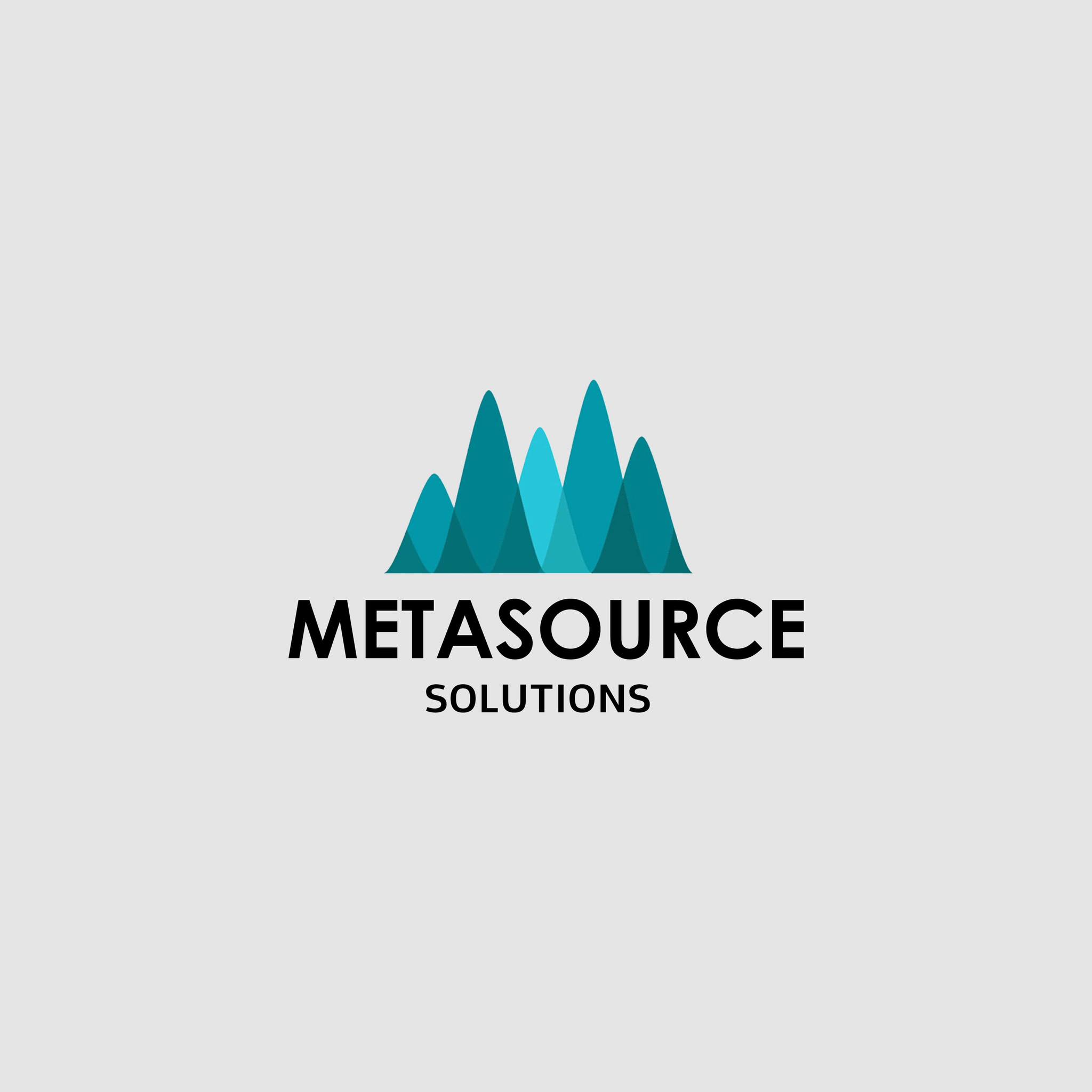 MetaSource Solutions Private Limited