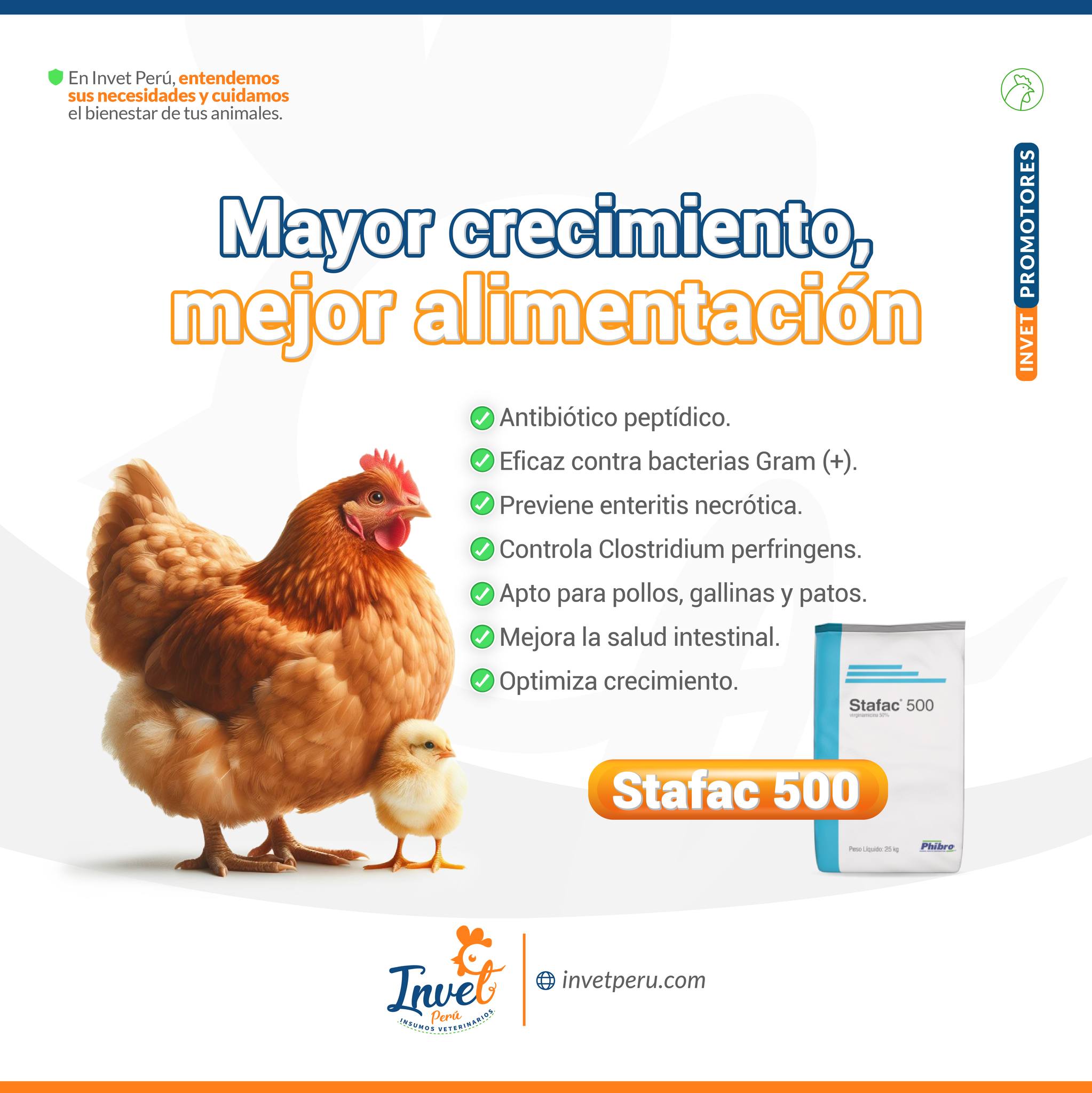 Invet - 🐔 ¡STAFAC 500, el aliado para aves más sanas y productivas! 💪🔬 ...