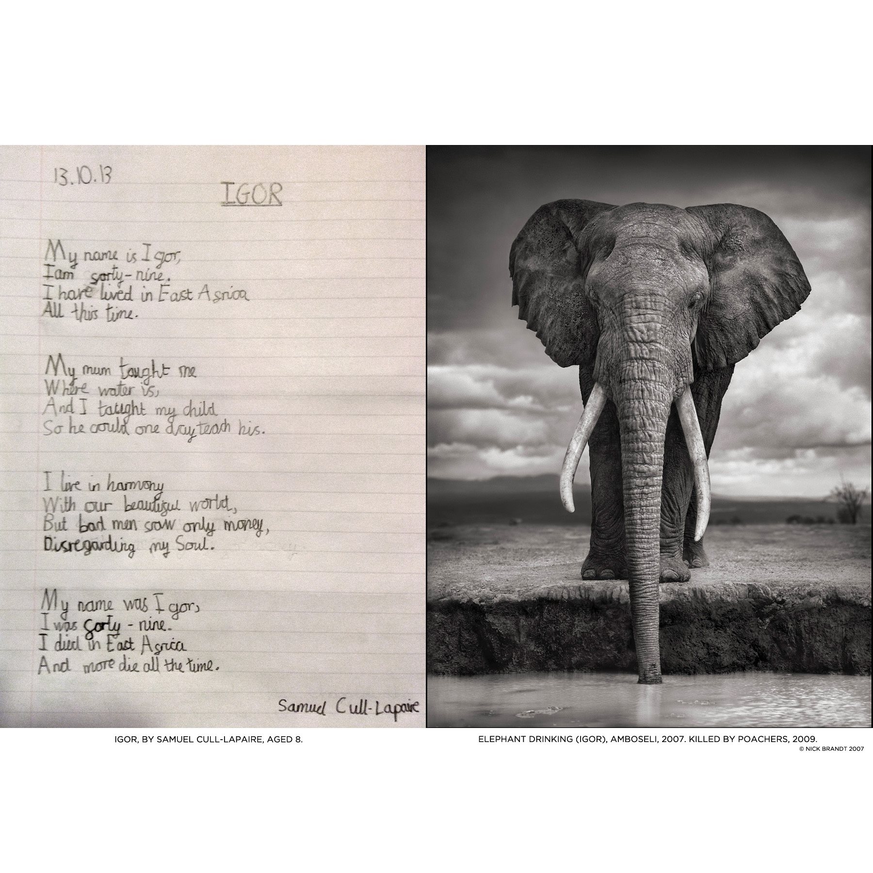 Elefriendly - In memory of Igor the elephant. | Facebook