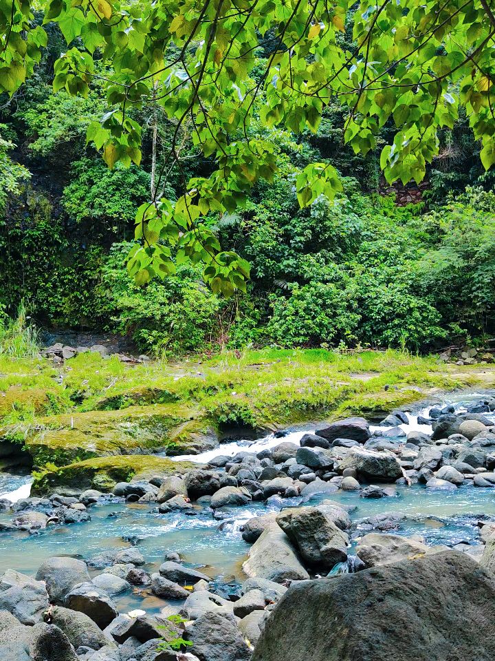Softhenic - More nature, less pressure. 🌿 🍃 | Facebook
