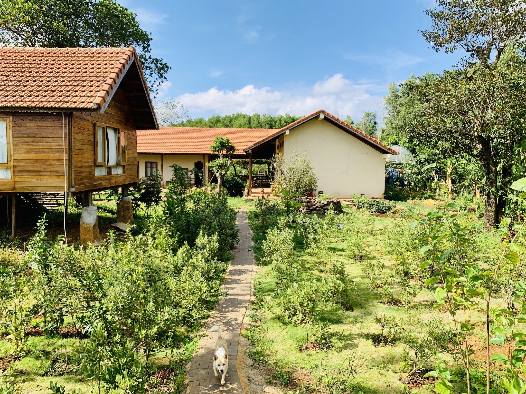 TODO Farm - Organic Farming & Retreat | Tuy Hòa